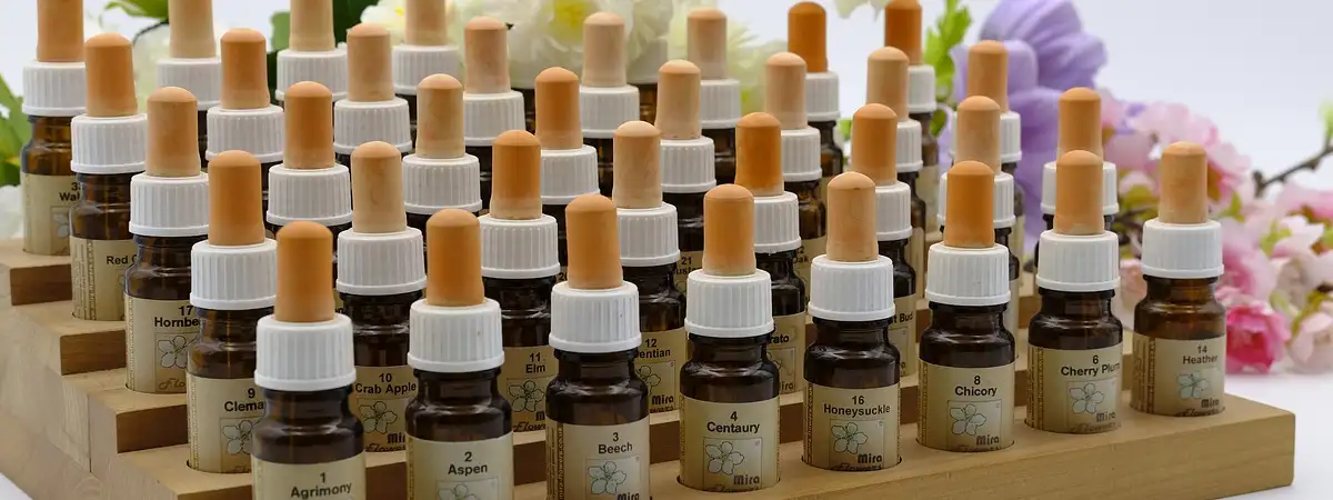 Bachblüten Therapie Höhenkirchen München Ost Süd nahe Ottobrunn