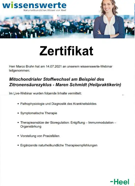 Mitochondrialer Stoffwechsel Marco Bruhn